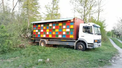 Čebelji kontejner, naložen na tovorno vozilo
