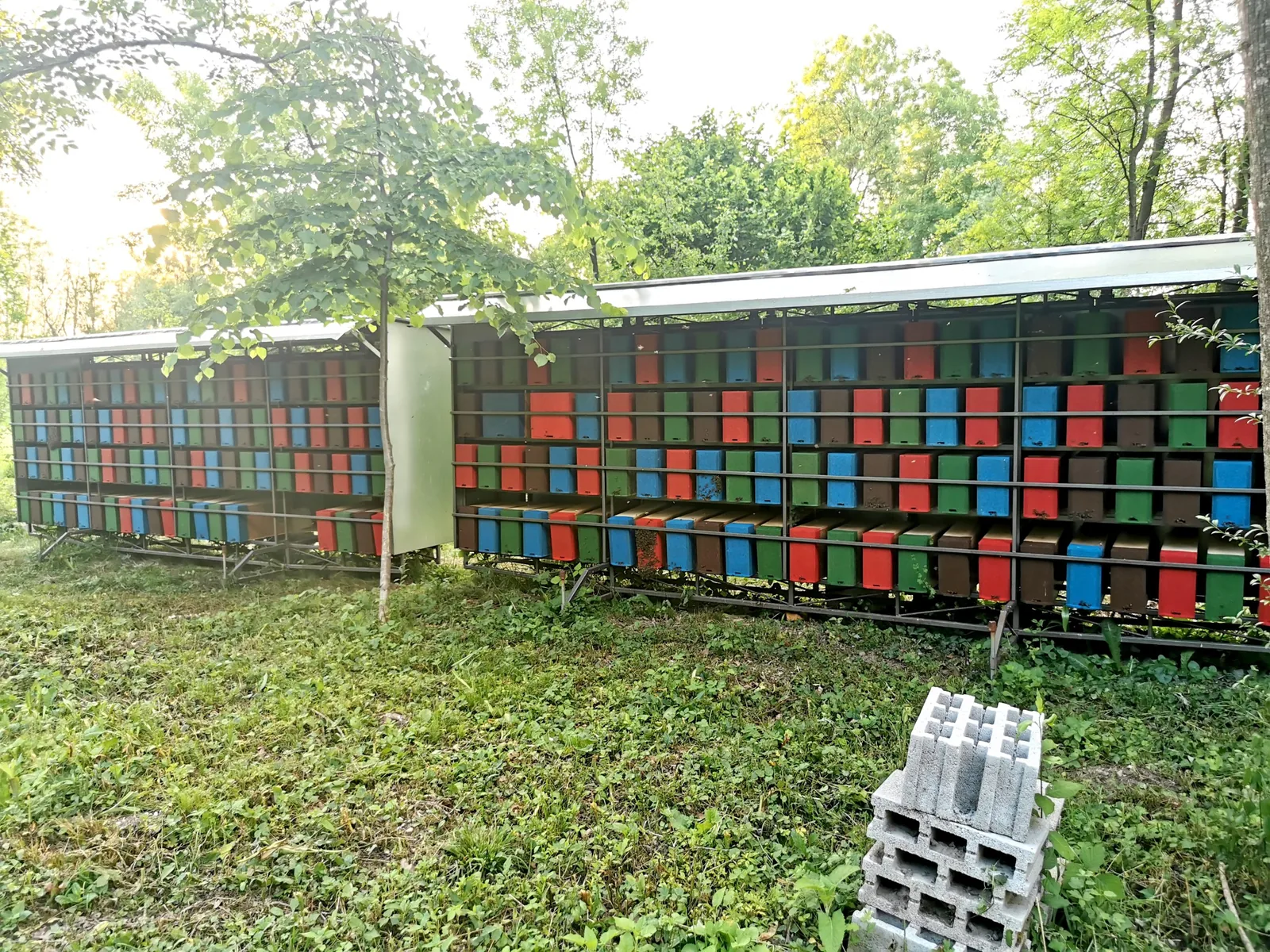 Vrsta trisatnih panjev na stojišču